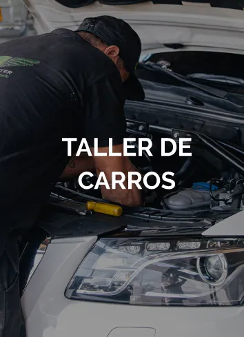 Taller especializado